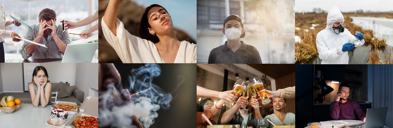 『抗氧抗發炎』體內的化學作用所自然產生的氧化壓力，生活中的壓力、紫外線傷害、空氣污染、農藥重金屬污染、飲食負擔、抽煙喝酒與熬夜，也會惡化體內的發炎程度。